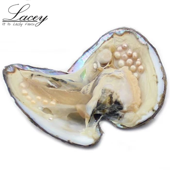 Austrės Perlai Nuostabi Kaina 50pcs kelių spalvų gėlavandenis perlas austrių vakuume supakuota,didelis austrių shell perlai