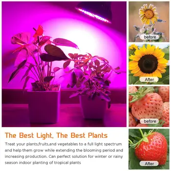 Phytolamp Augalai, Patalpų LED Grow Light E27 Lemputės 80W 50W 30W Visą Spektrą Fito Lemputė dega Gėlės Orchidėjos Succulents